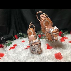 👠 Edmundo Castillo